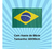 Bandeira Brasil 60x90 Copa Do Mundo Com Haste De 88cm - comprar online