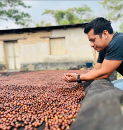 Neri Ortiz | San José Ixtepec - comprar en línea