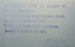 Racso. Amor. Patria. Sufrimiento. Chile 1970-1973 en internet