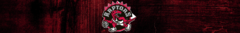 Banner da categoria TORONTO RAPTORS