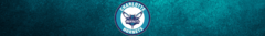 Banner da categoria CHARLOTTE HORNETS