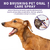 Espray de limpieza Oral para mascotas - online store