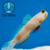 GOBY YELLOW WHATCHMAN (Cryptocentrus cinctus) - criado