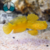 GOBY YELLOW WHATCHMAN (Cryptocentrus cinctus) - SELVAGEM