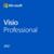 Licencia Visio 2019 Profesional [BIND]