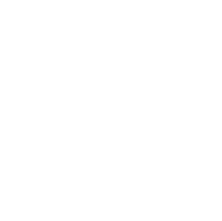 Mr Fish