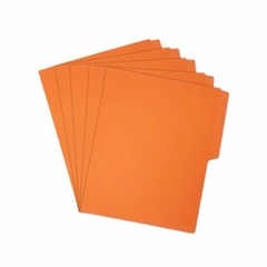 FOLDER NEON MANDARINA