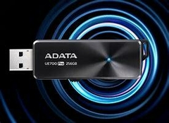 MEMORIA USB 256 GB