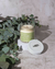 Tea tree & vervain candle on internet