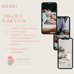 PROMO - Taller Trilogía juicios de alimentos