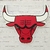 Imagem do Placa Decorativa Chicago Bulls