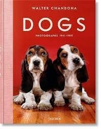 Dogs Photographs 1941-1991