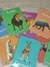 flash cards de animales coloridas