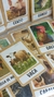 Flash cards animales de la granja x 16