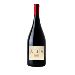 A Lisa Malbec 2019 Magnum