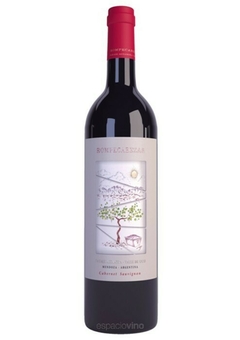 Rompecabezas Cabernet Sauvignon