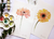 Pintura em aquarela – Dupla floral