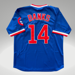 Camisa Chicago Cubs - Banks #14 - comprar online