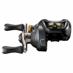 Reel Shimano Bajo Perfil Curado 21 BFS XG L en internet