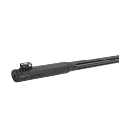 RIFLE GAMO ROADSTER IGT 10x GEN 2 - Calibre 5,5 en internet