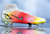 Imagem do Chuteira Nike Mercurial Superfly 8 FG Elite Dreamspeed 004