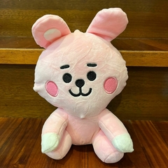 *Peluche de BTS - Cooky -20cm-