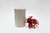 vaso biophilic cardeal vermelho - comprar online