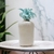 blue biophilic vase