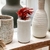 cardinalis vase - buy online