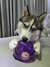 Bola Jumbler Ball G - WOLF US PET STORE