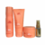 Kit Wella Nutri Enrich (4 produtos)