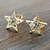 Brinco Estrela com Zircônias Multi-color Folheado a Ouro 18k na internet