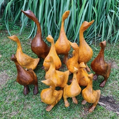 Imagem do Escultura de Ganso Esculpido em Peça Única de Madeira TAM. PP