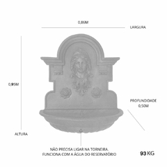 Fonte Chafariz de Parede Cara de Índia Em Ferro Fundido - comprar online