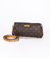 Imagem do Bolsa Louis Vuitton Eva Monogram