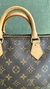 LOUIS VUITTON SPEEDY 30 EBENE na internet