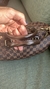 Imagem do LOUIS VUITTON Speedy Bando 30