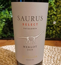 Saurus Selec Merlot - comprar online