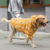 Macacão Pet p/ Inverno com Capuz | Cães Grande Porte - loja online