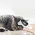 Termômetro Profissional Pet c/ Tela Led Via USB - loja online