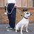 Coleira Guia Pet Nailon Alta Resistência Até 50kg | Cães - loja online