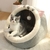 Cama Iglu Pet em Algodão | Para Gatos - loja online