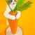 Arranhador para Gatos | Cenoura Realista - Pingo Pet Shop - A loja que os pets amam!