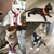 Peitoral Com Guia Para Passeio PET | Para Cães e Gatos - loja online