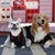 Roupa Pet em Poliéster Estampa de Patinha | Cães - loja online