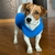 Roupa Pet em Lã Macia e Confortável | Cães - Pingo Pet Shop - A loja que os pets amam!
