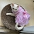 Imagem do Vestido para Gatos Estampa Listrada