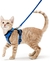 Peitoral Pet com Guia p/ Passeio | Gatos na internet