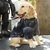 Macacão Pet p/ Inverno com Capuz | Cães Grande Porte - Pingo Pet Shop - A loja que os pets amam!