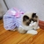 Imagem do Vestido para Gatos Estampa Listrada